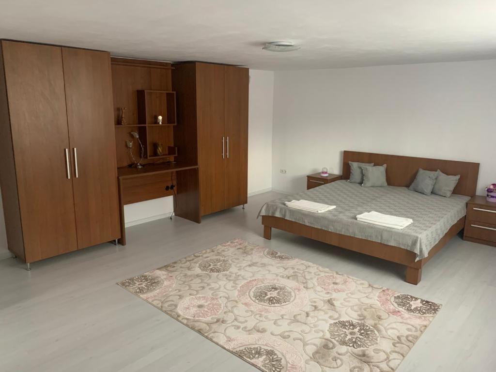 Casa Deac Apartment Sebes  Ngoại thất bức ảnh