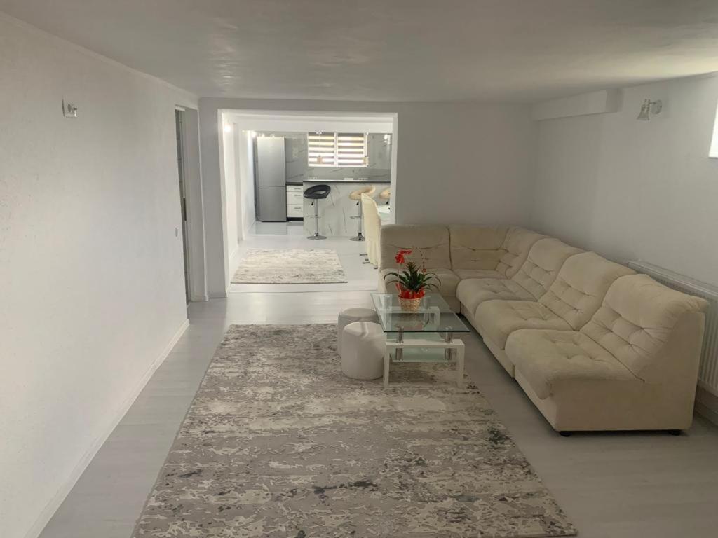 Casa Deac Apartment Sebes  Ngoại thất bức ảnh
